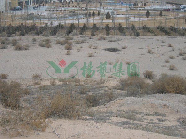 Ezpay钱包 -轻松支付,放心选择