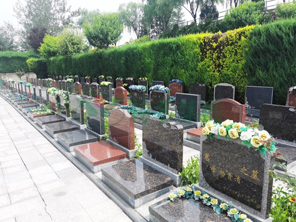 Ezpay钱包 -轻松支付,放心选择