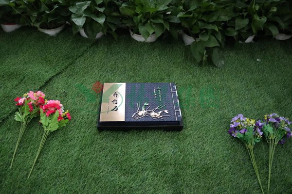 Ezpay钱包 -轻松支付,放心选择