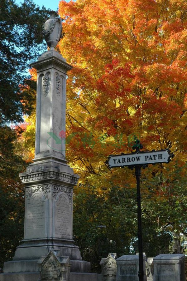 Ezpay钱包 -轻松支付,放心选择