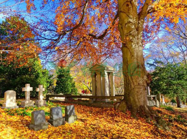 Ezpay钱包 -轻松支付,放心选择