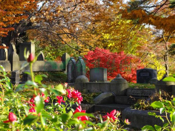 Ezpay钱包 -轻松支付,放心选择