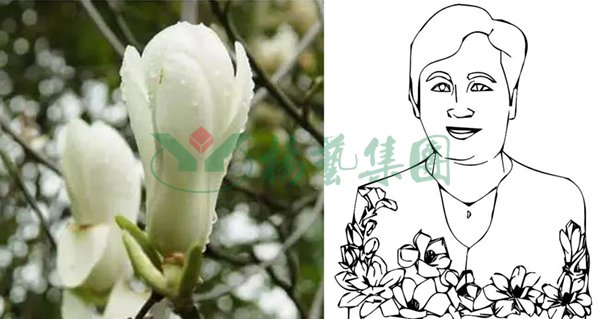 Ezpay钱包 -轻松支付,放心选择