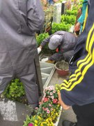 【Ezpay钱包人别样清明】2018年清明落葬事情圆满完成