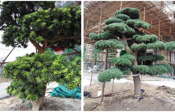 Ezpay钱包 -轻松支付,放心选择