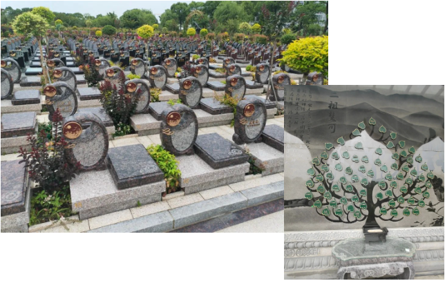 Ezpay钱包 -轻松支付,放心选择