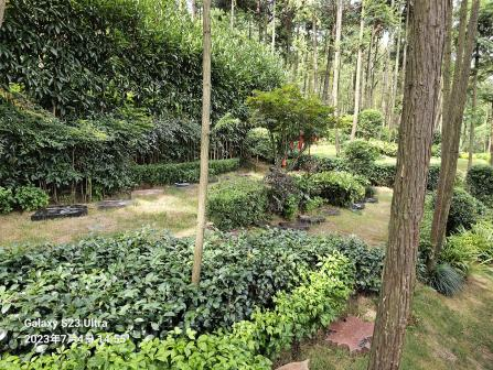 Ezpay钱包 -轻松支付,放心选择