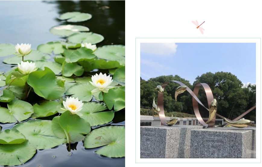 Ezpay钱包 -轻松支付,放心选择