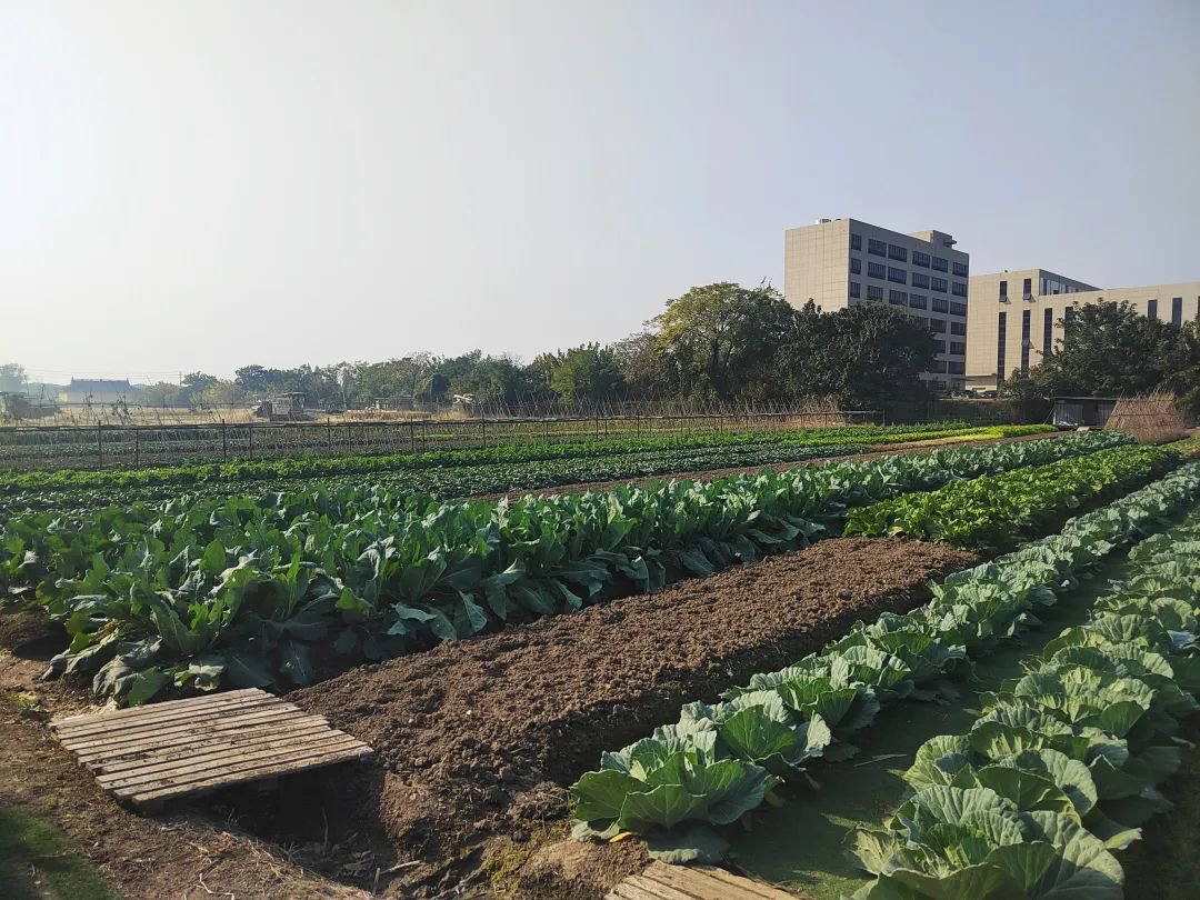 Ezpay钱包 -轻松支付,放心选择