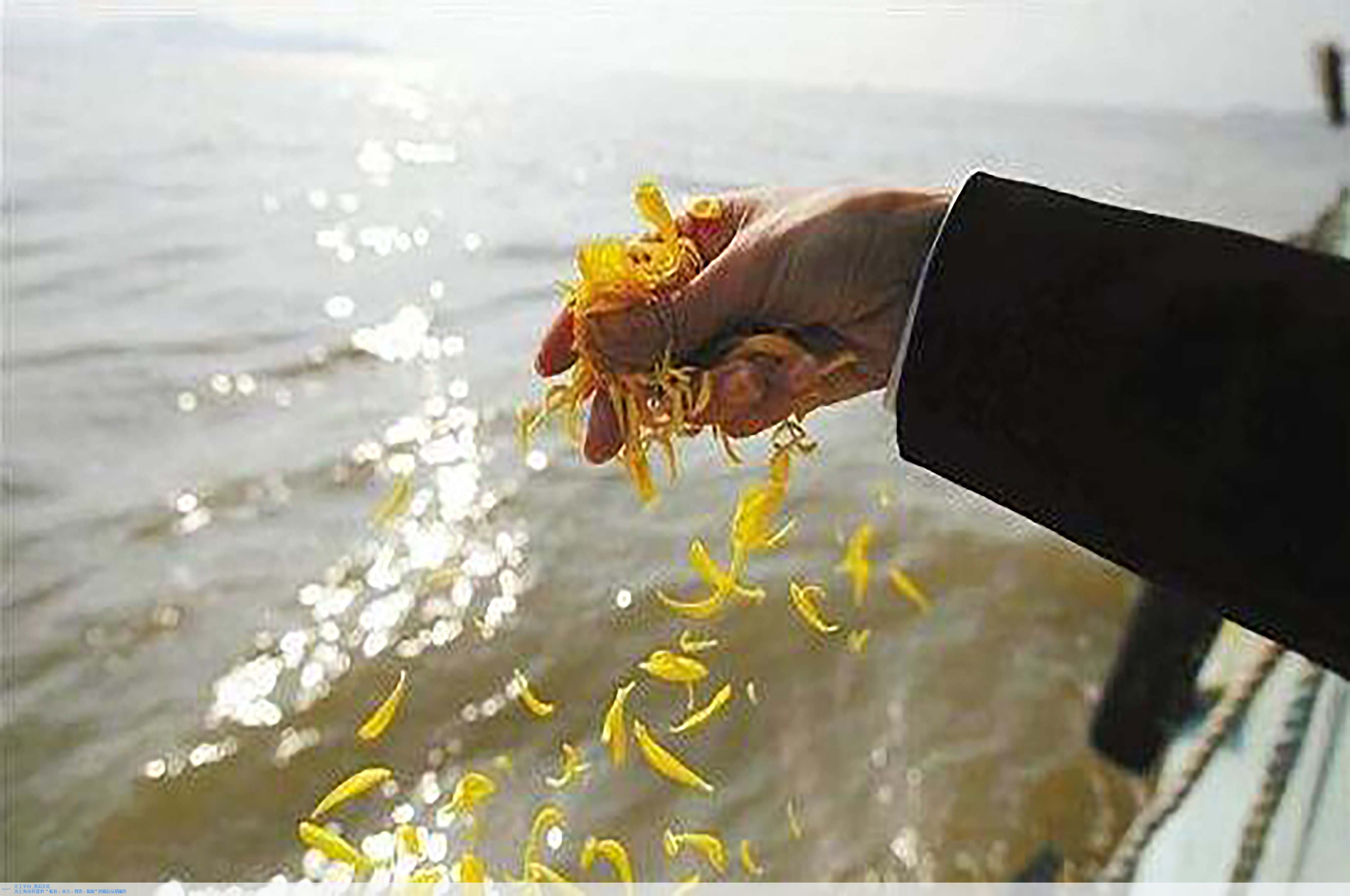 Ezpay钱包 -轻松支付,放心选择