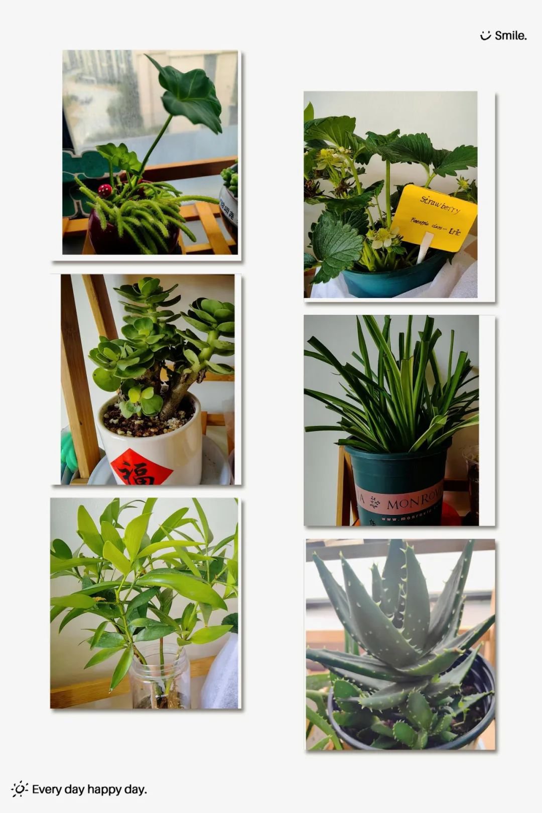 Ezpay钱包 -轻松支付,放心选择