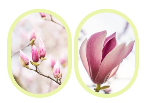 Ezpay钱包 -轻松支付,放心选择