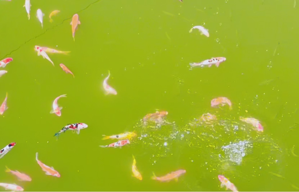 Ezpay钱包 -轻松支付,放心选择