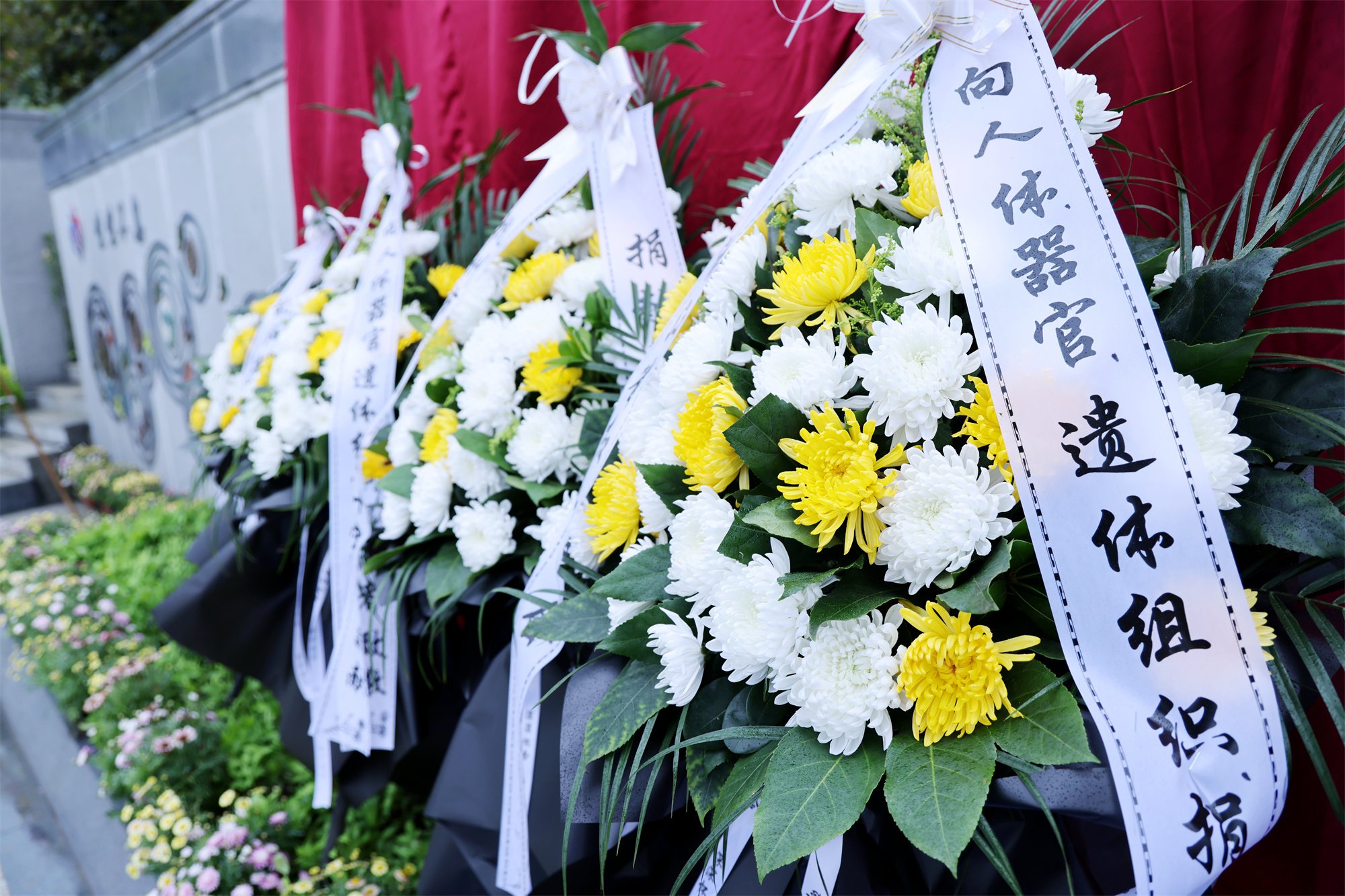 Ezpay钱包 -轻松支付,放心选择