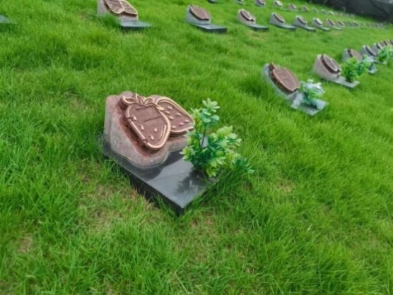 Ezpay钱包 -轻松支付,放心选择