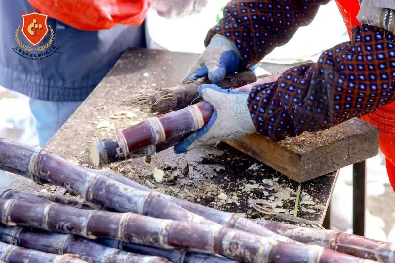 Ezpay钱包 -轻松支付,放心选择