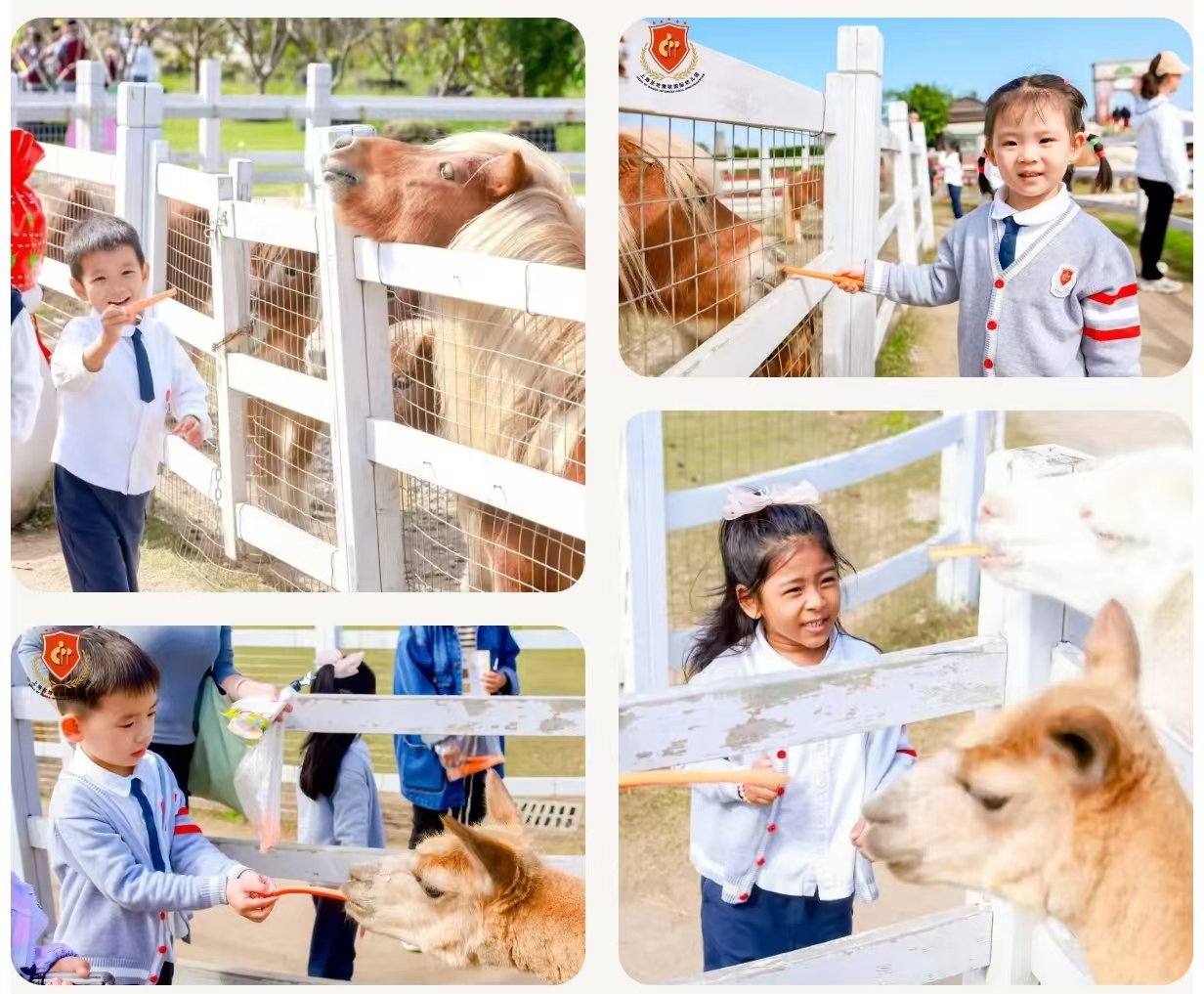 Ezpay钱包 -轻松支付,放心选择