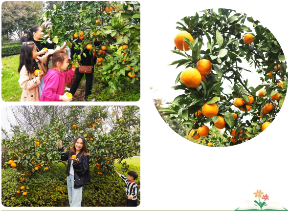 Ezpay钱包 -轻松支付,放心选择