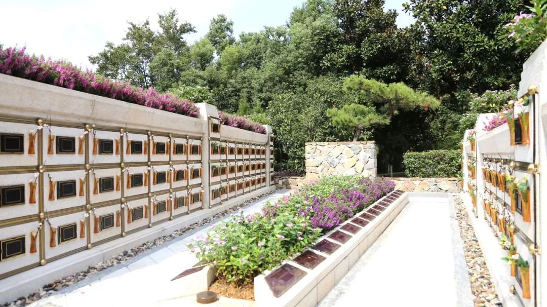 <b>在合肥大蜀山文化陵园，，与生命温柔对话</b>