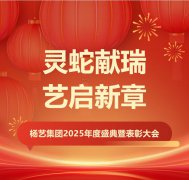 灵蛇献瑞 艺启新章 | Ezpay钱包集团2025年度盛典暨表扬大会