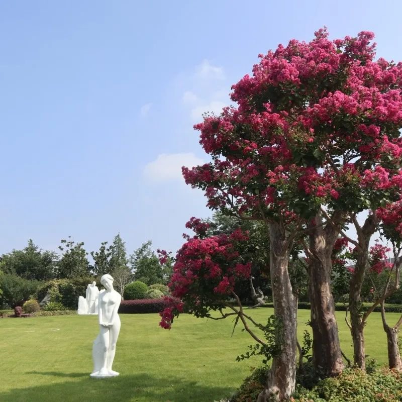 Ezpay钱包 -轻松支付,放心选择