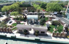 方寸之间，艺术与自然共舞