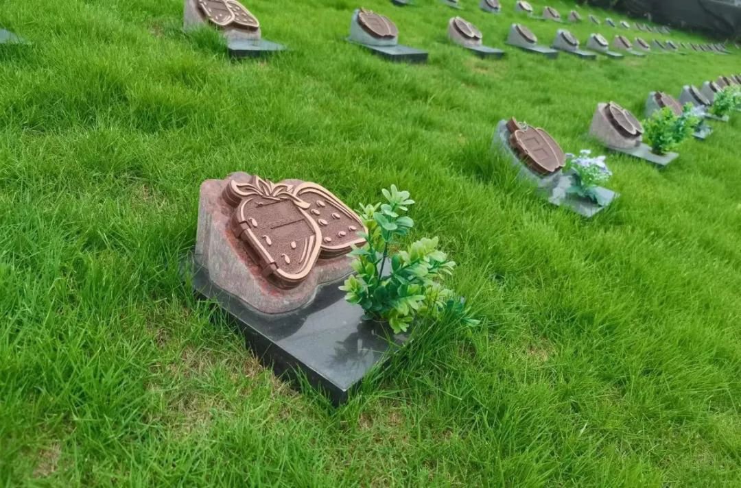 Ezpay钱包 -轻松支付,放心选择