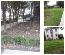 老墓园刷新：：：都会中的绿色影象与文化传承