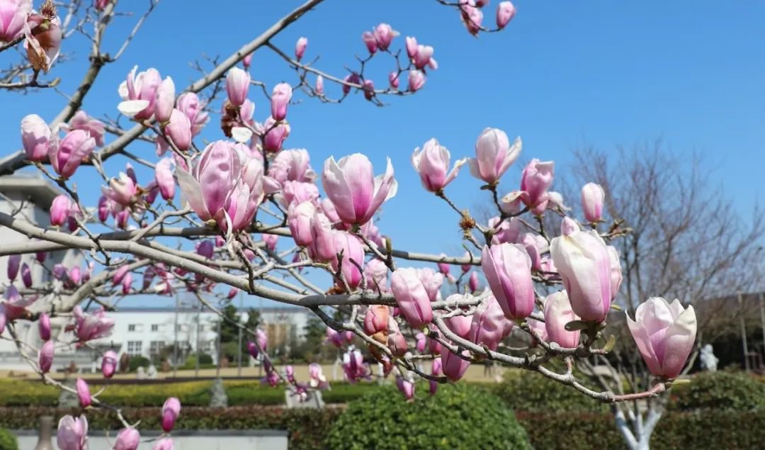 Ezpay钱包 -轻松支付,放心选择