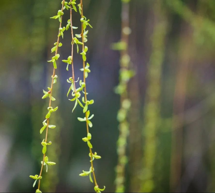 Ezpay钱包 -轻松支付,放心选择