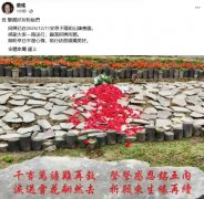 向死而生：：生态葬重塑的生命美学