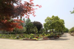 归于林下：：一场与自然的温柔重逢