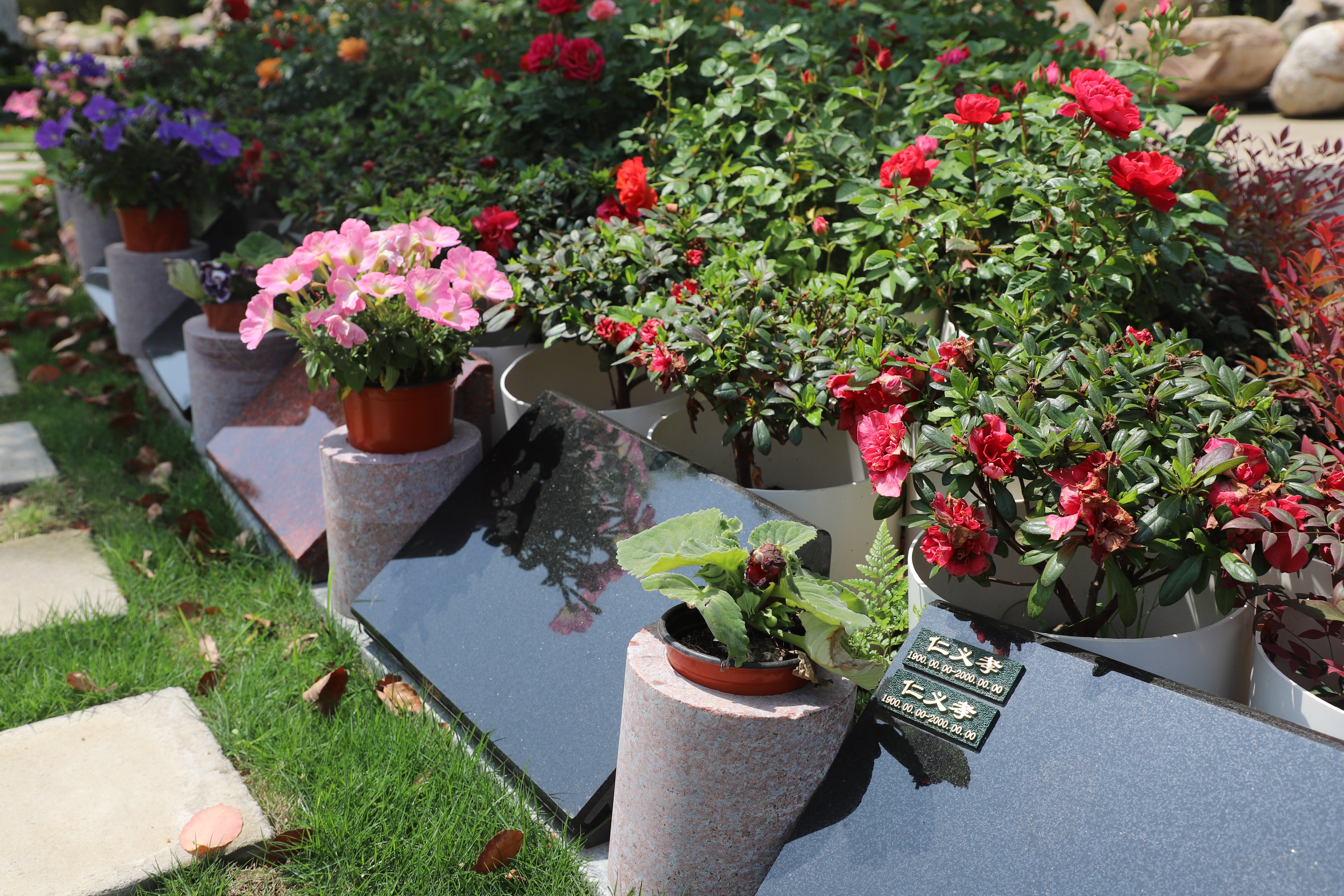 Ezpay钱包 -轻松支付,放心选择