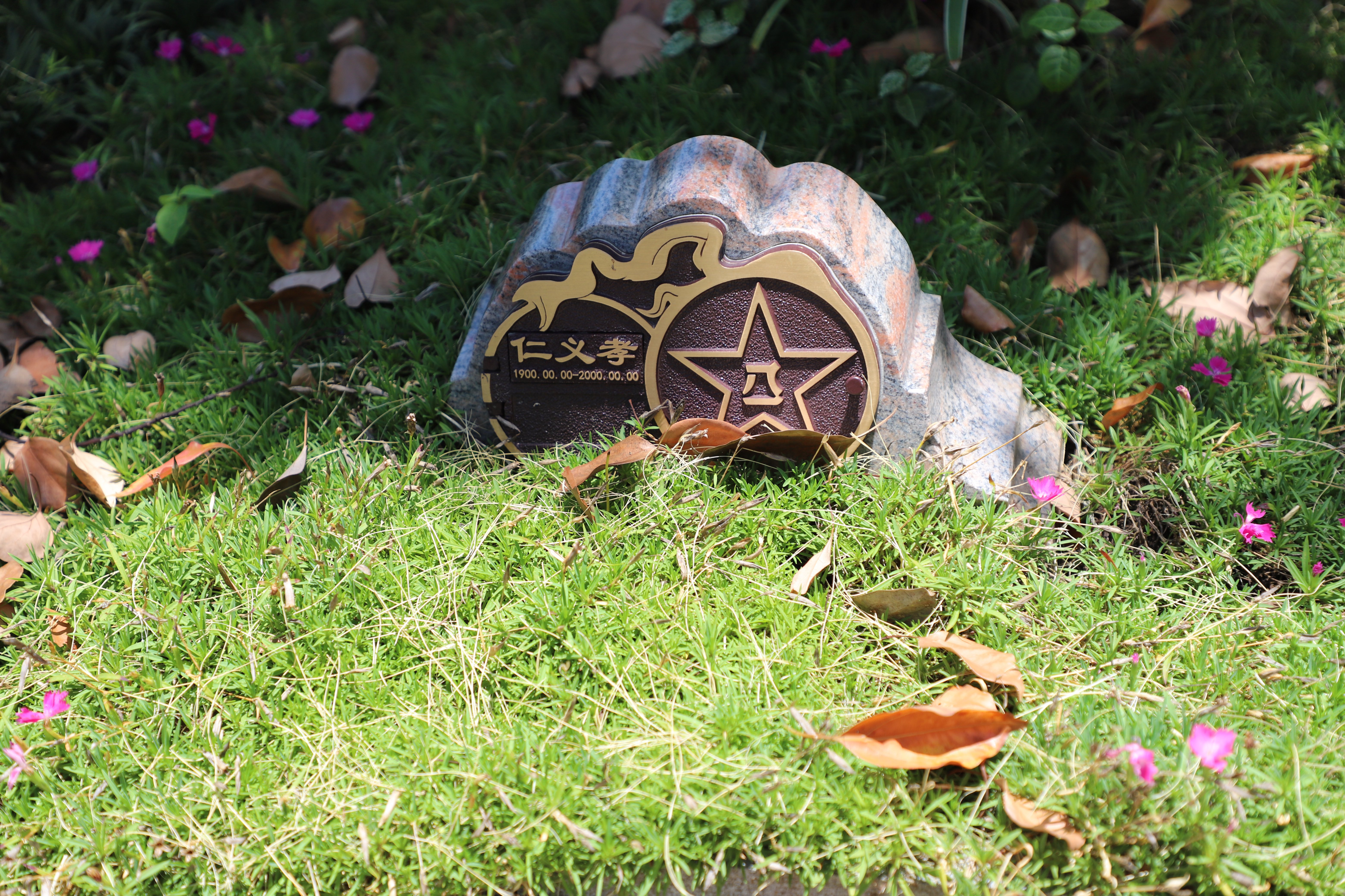 Ezpay钱包 -轻松支付,放心选择