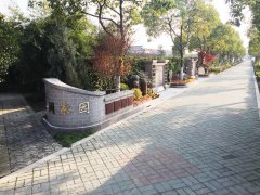 都会最后一平米：：生态葬，，，是与自然的息争？照旧无奈的选择？