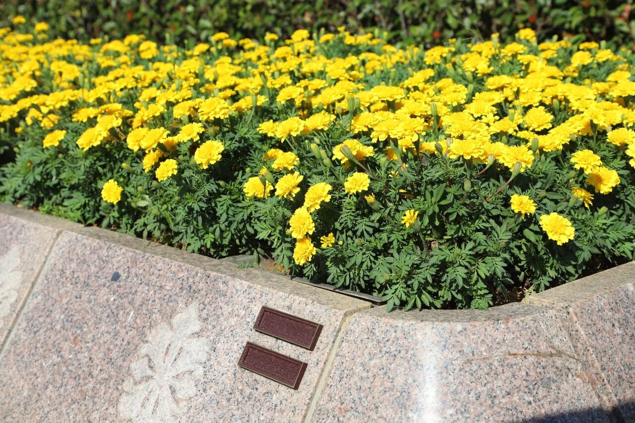 Ezpay钱包 -轻松支付,放心选择