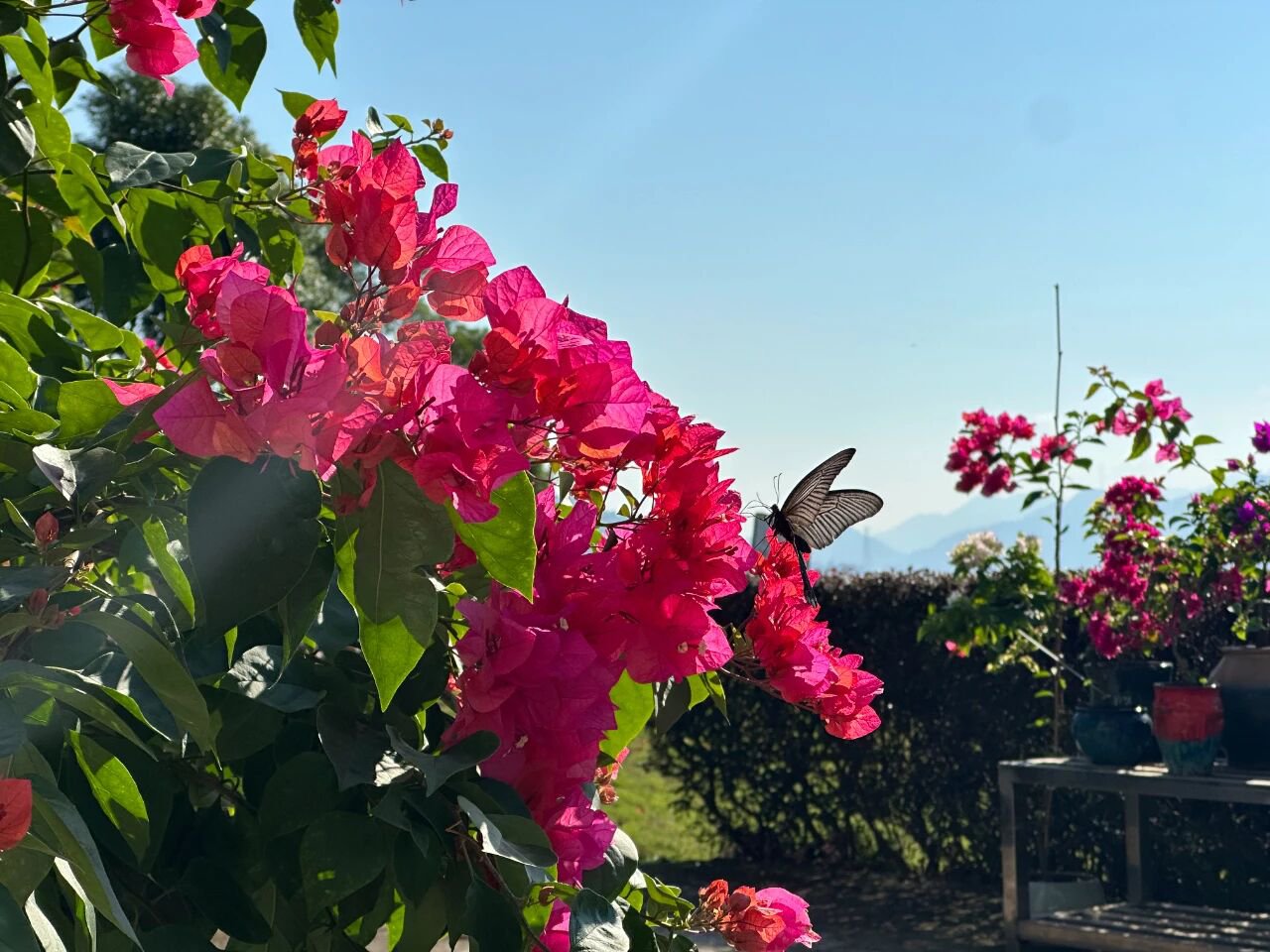 Ezpay钱包 -轻松支付,放心选择